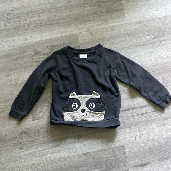 Koala Kids Other - Koala kids Grey Racoon long sleeve sweater size 4T